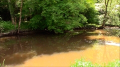 Mooi weer om te snoeien