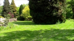 Tessa is aan het snoeien