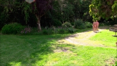 Wandeling langs de rivier