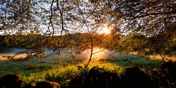 In de schijnwerpers: Fern Fields Naturist Retreat