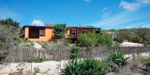 Dos Iguana te Bonaire