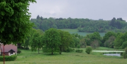 Nieuwe (naturistische?) plannen