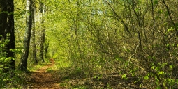 Vraag het Tessa - wandelen in de vrije natuur