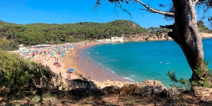 Playa El Castell (Spanje)